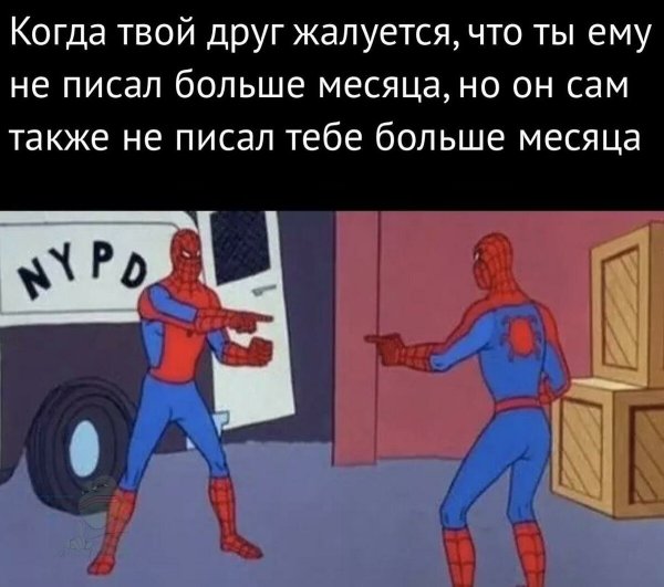 Два человека паука показывают на друг друга
