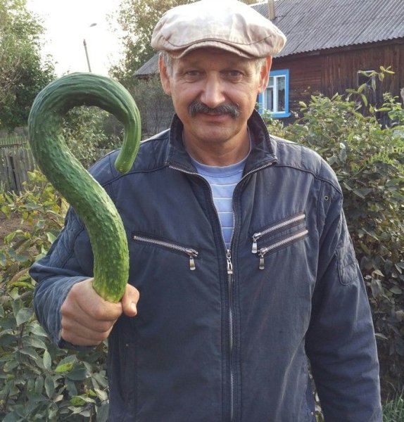 Мужик с огурцом