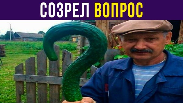 Созрел вопрос