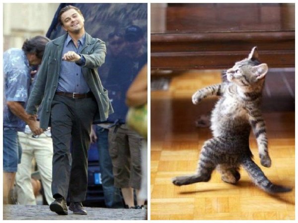 Леонардо ди Каприо шагает