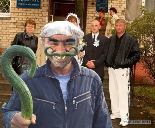 Возник вопрос огурец