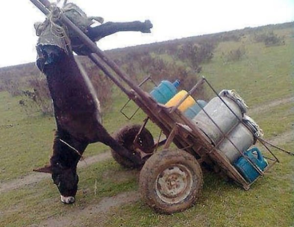 Телега с людьми прикол