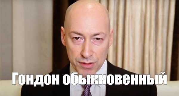 Гордон Дмитрий мэм