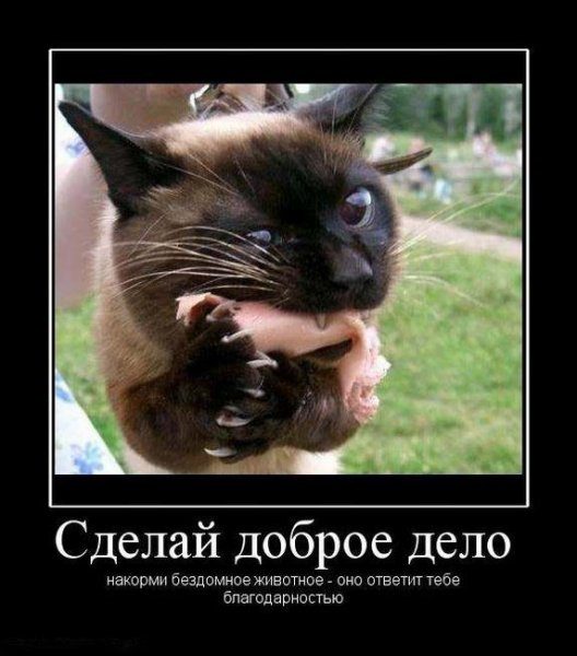 Добрые дела в шутку