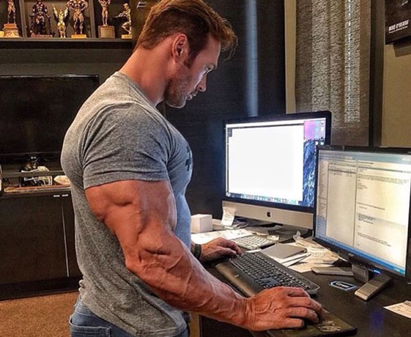 Качки сидят за компьютером