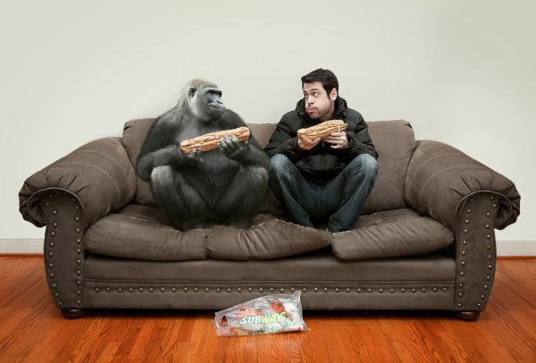 Обезьяна на диване