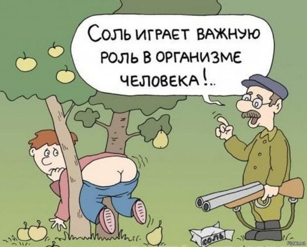 Анекдот пол соль