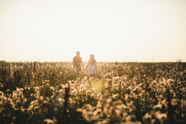 Влюбленные в поле