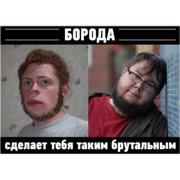 Смешная борода