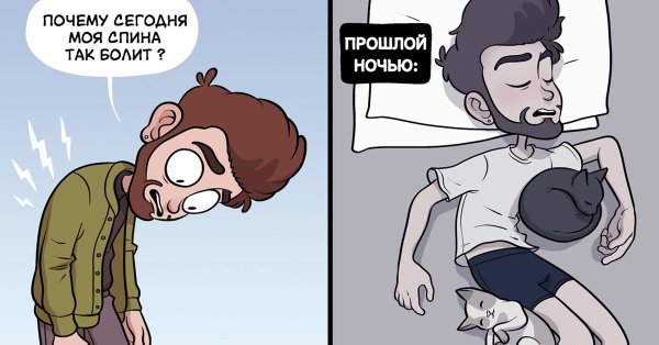 Смешные мемы про больную спину