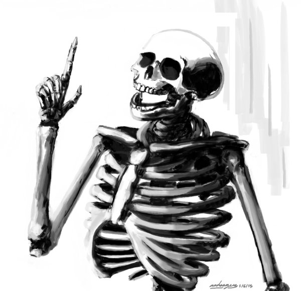 Скелет рисунок