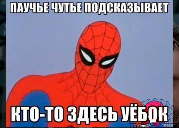 Человек паук мемы