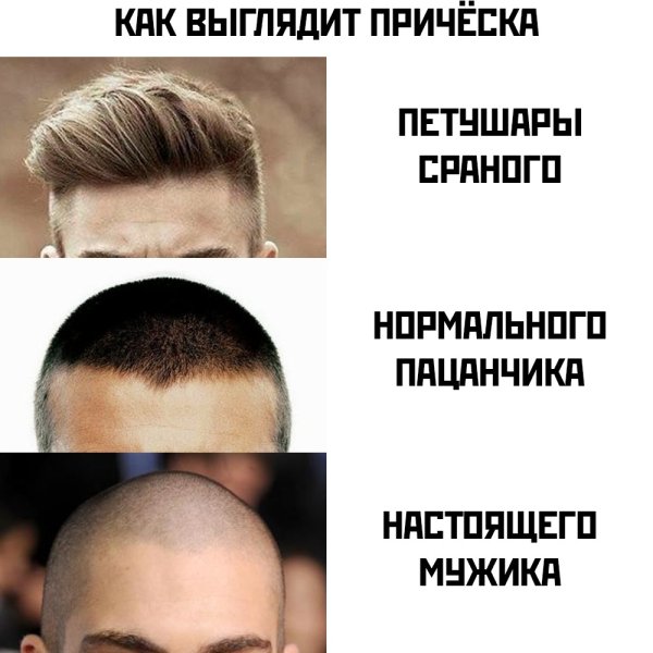 Мемы про прическу