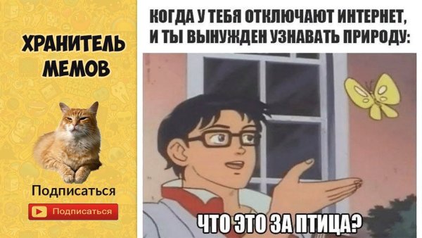 Оригинал мема с бабочкой