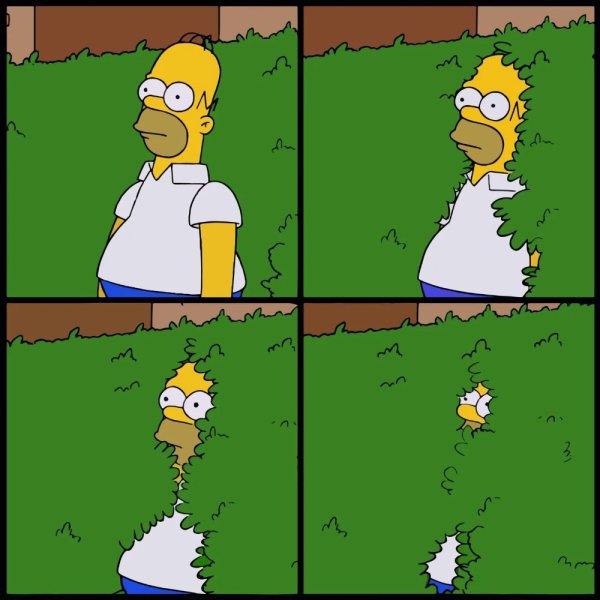 Мем гомер в кустах