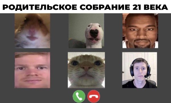 Смешные фото для мемов