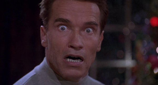 Шварценеггер 1996