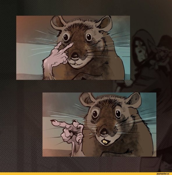 Мемы с крысами