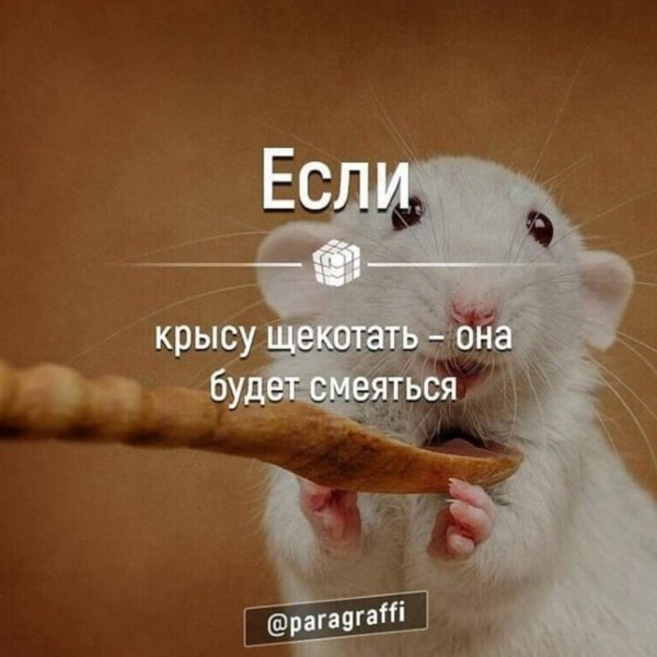 Крыса Мем