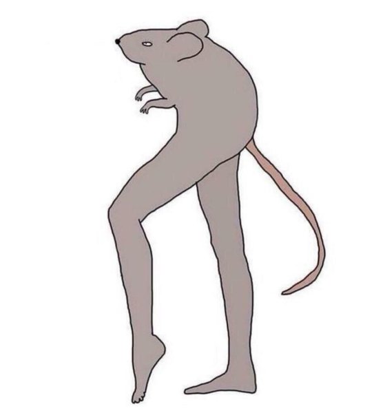 Нужно быть тихоньким как мышенька