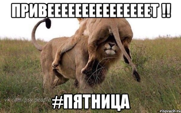 Пятница Мем