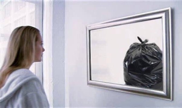 Мем с зеркалом отражением