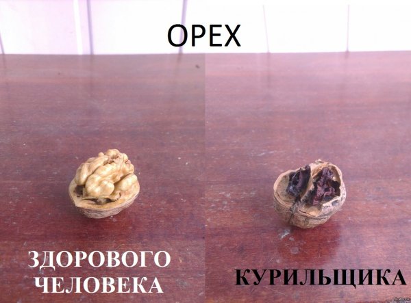 Здорового человека курильщика