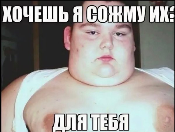 Толстыемес