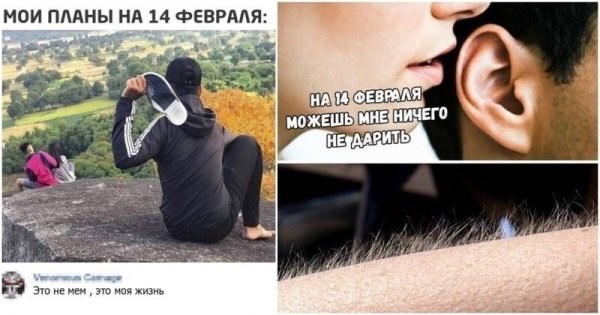14 Февраля приколы