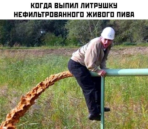 Понос прикол