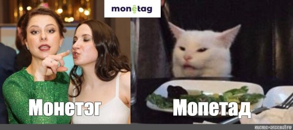 Мемы кот за столом и две девщук