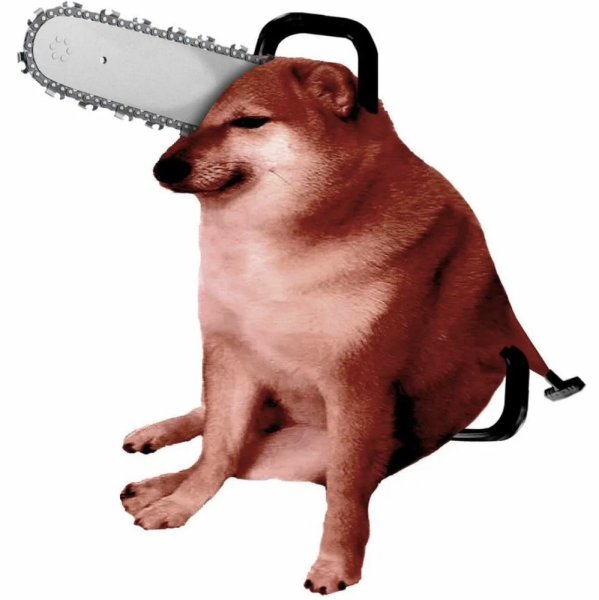 Сокака с пелой