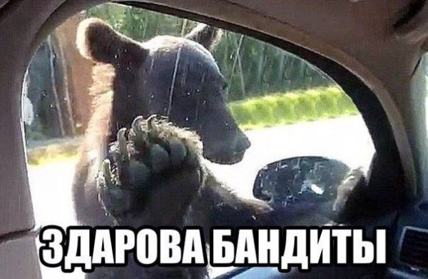 Здорово бандиты