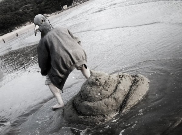 Прикольные картинки