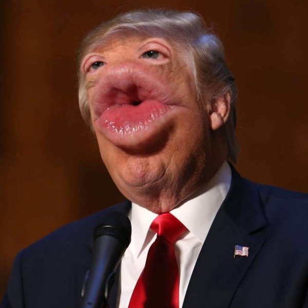 Упоротый Дональд Трамп