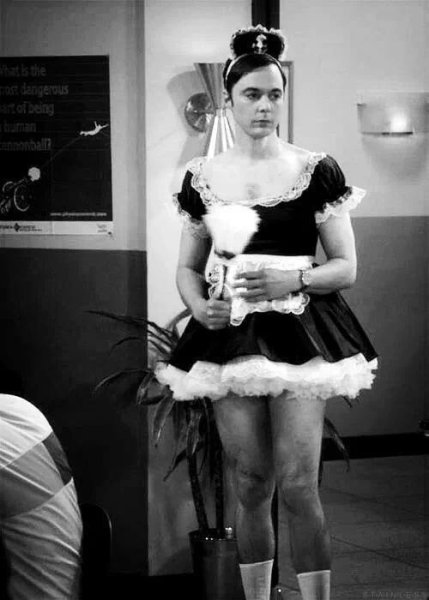 Теория большого взрыва Шелдон в костюме горничной