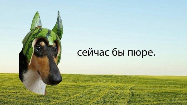 Сейчас бы пюре