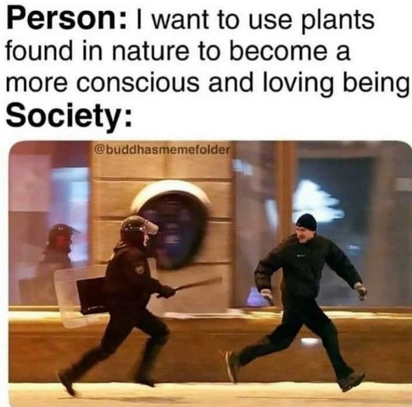 Мем убегает от полицейского