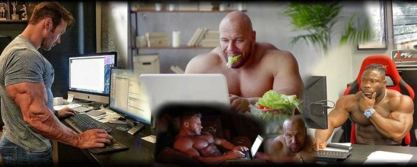 Качки сидят за компьютером