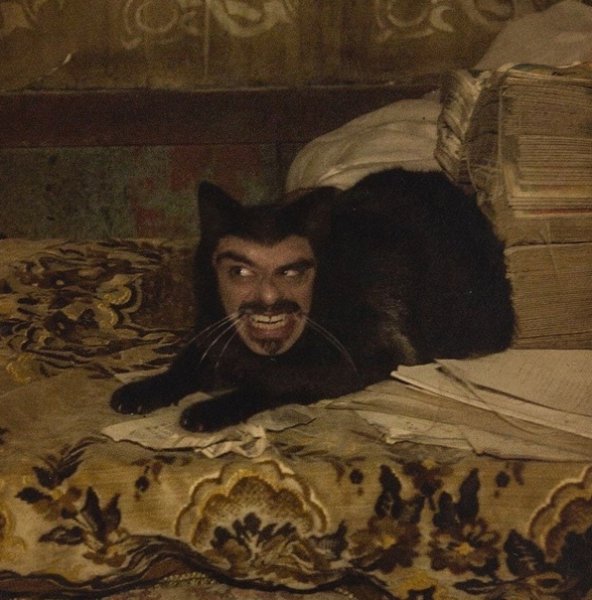 Реальные упыри кот Дракула