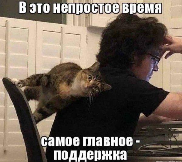 Мемы про поддержку