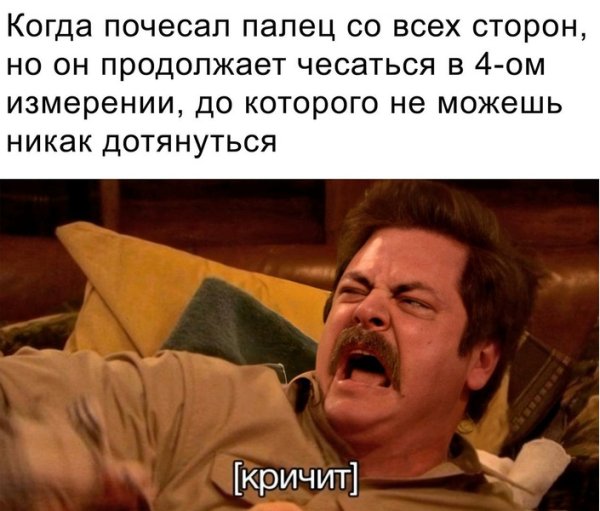 Рон Свонсон Мем