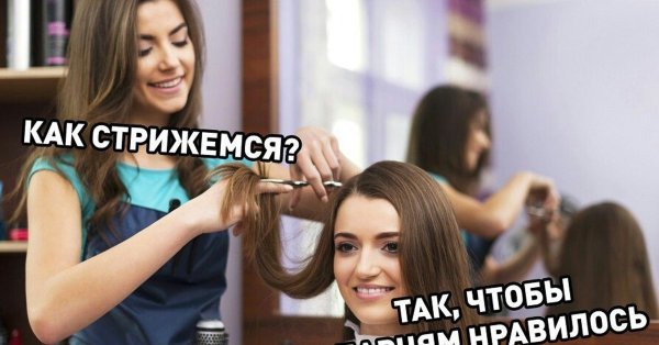 Мемы в парикмахерской