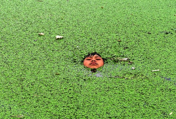 Чел сидит в болоте