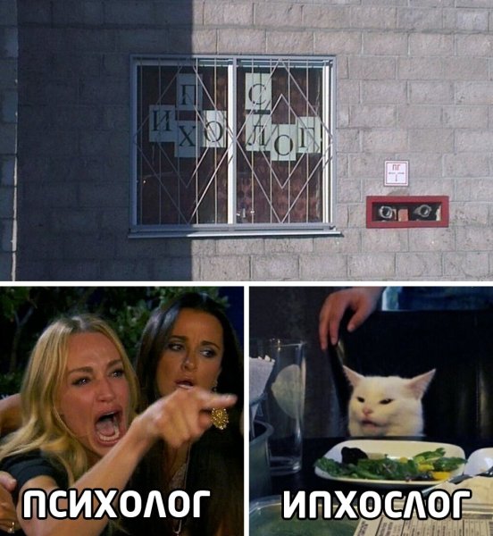 Мем с котом и девушками