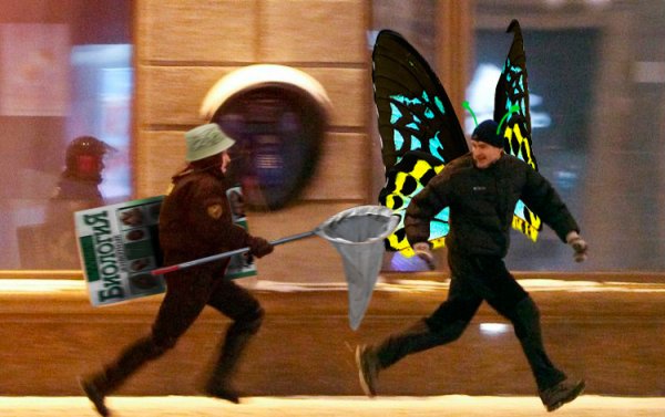 Мужик убегает от полицейского