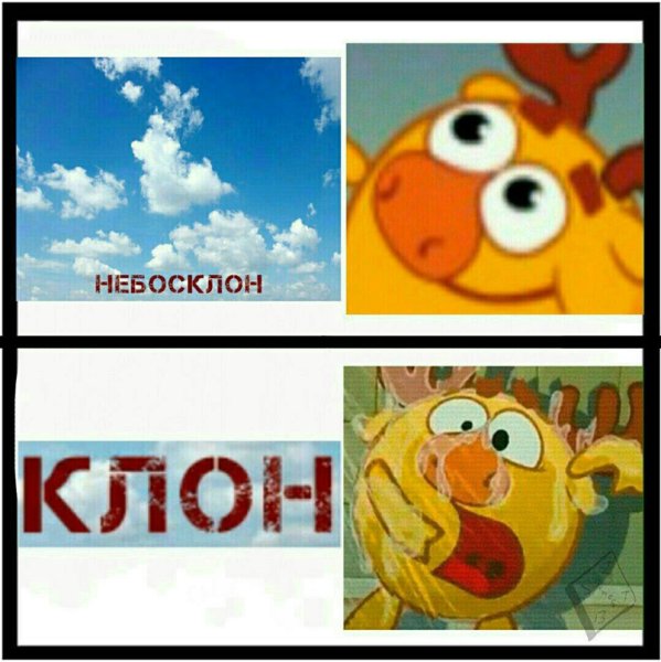 Смешарики приколы