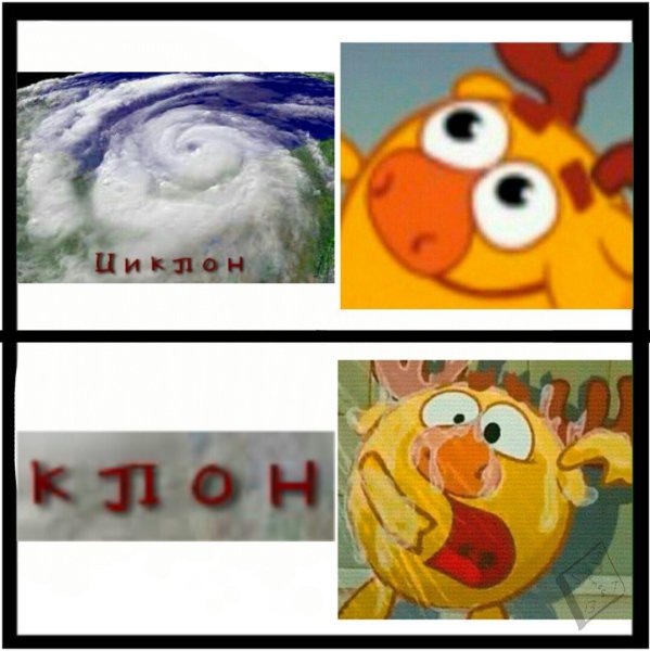 Мемы про смешариков