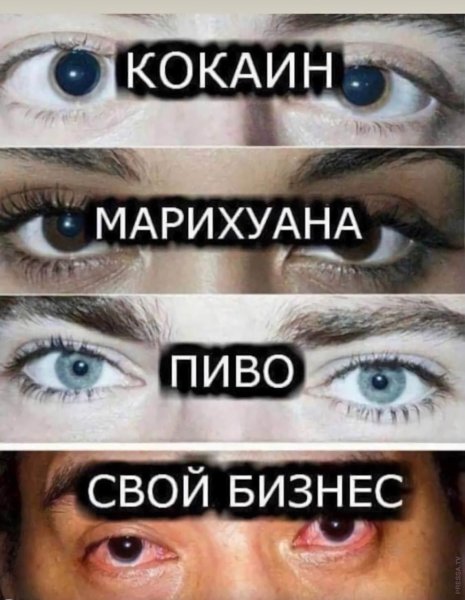 Кокаин марихуана свой бизнес