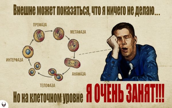 Прикольный плакат по биологии